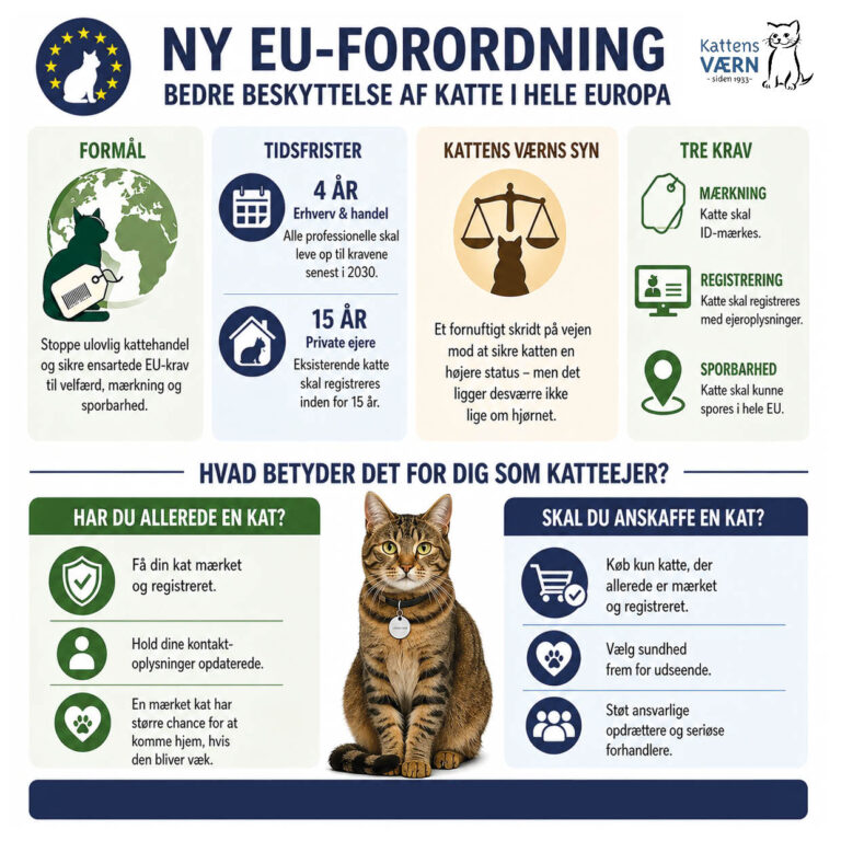 Ny EU-lov sikrer at katte fremover skal mærkes og registreres i et register.